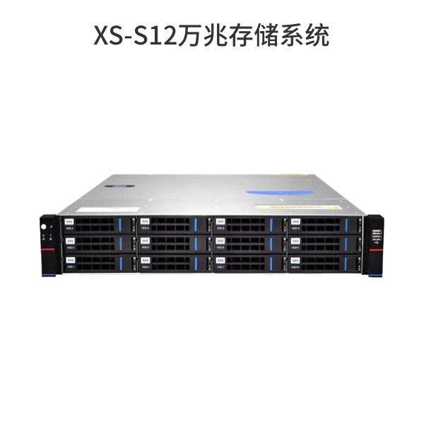 XS-S12万兆存储系统